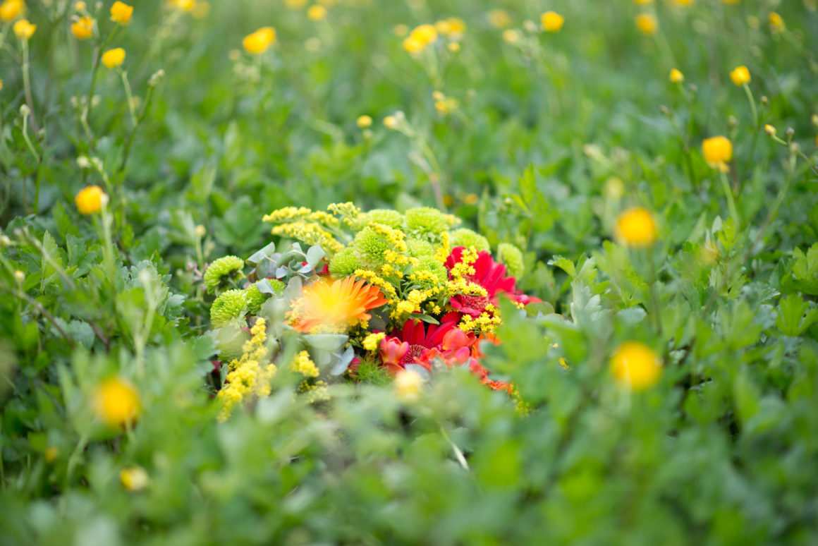 Flores y más flores